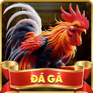 Hỗ trợ qua Live Chat trên vz99 app